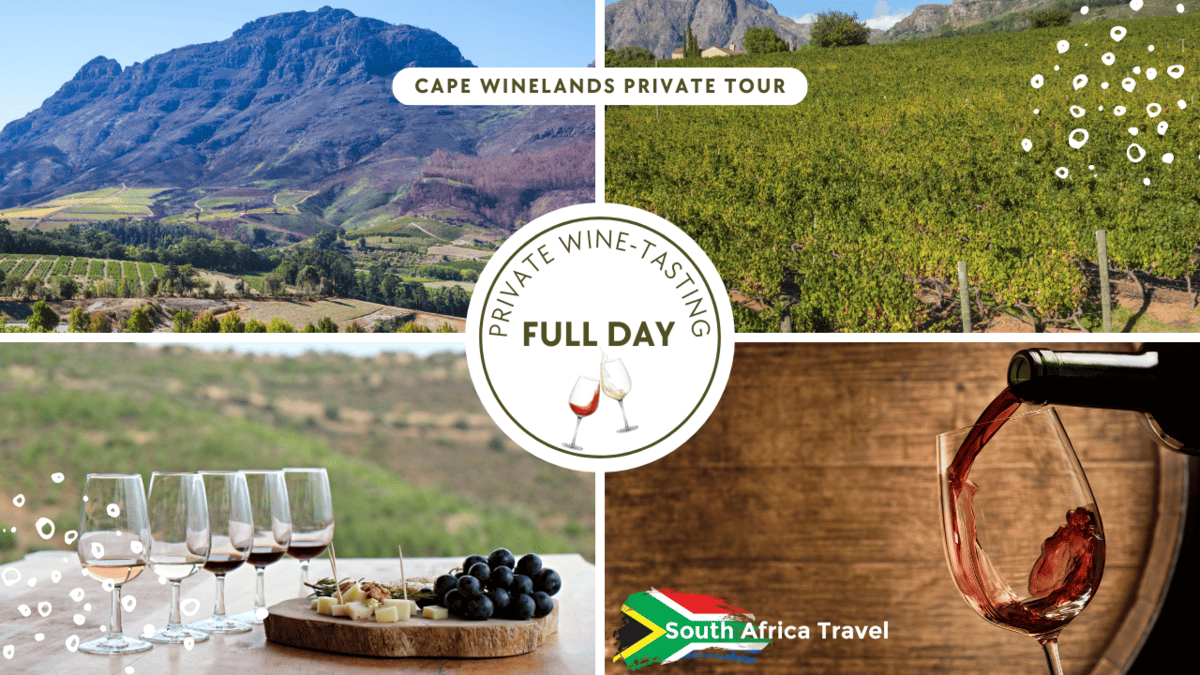 Cape Town Wine Tasting